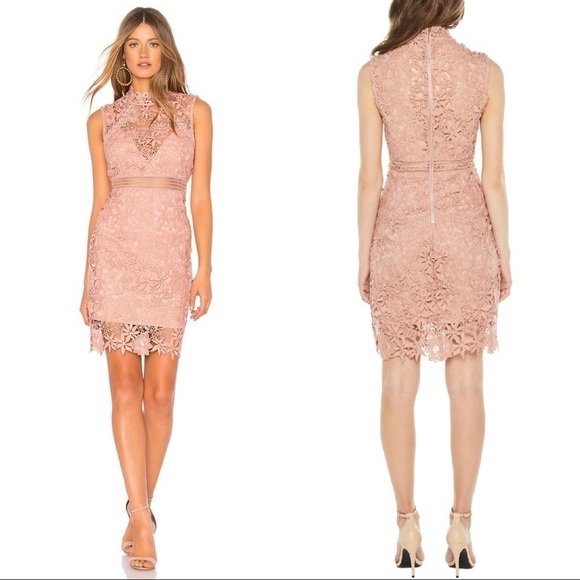 Bardot Embroidered Guipure Lace Paris Dress Bloom - Picture 1 of 14